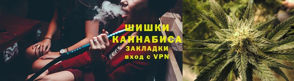 PSILOCYBIN Бородино