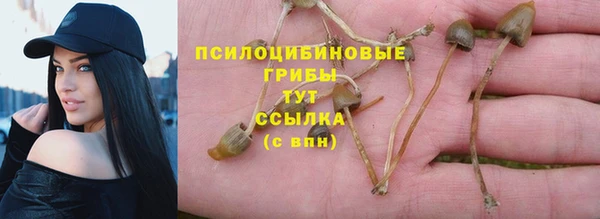 МДПВ Верхний Тагил