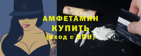 PSILOCYBIN Бородино
