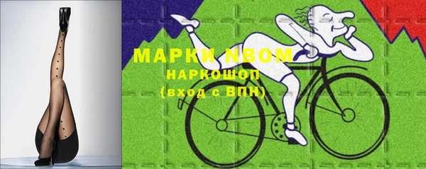 PSILOCYBIN Бородино
