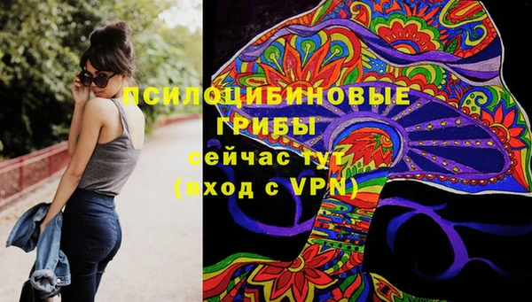 PSILOCYBIN Бородино