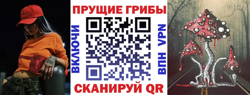 Купить закладки  Малаховка  Галлюциногенные грибы мицелий 